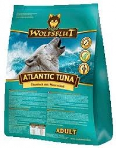  Atlantic Tuna Adult